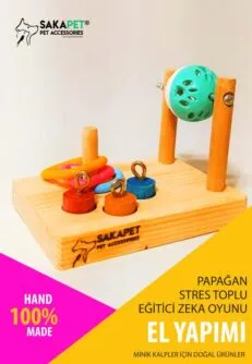 Papağan stres toplu zeka oyunu