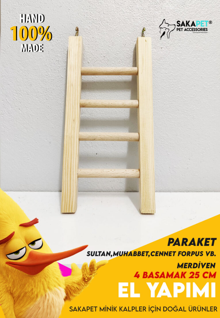 1_10.01.2024_70aec14