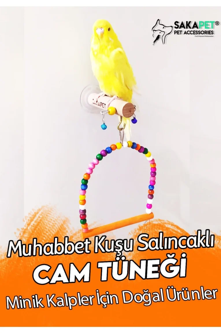 muhabbet kuşu cam tüneği