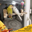 paraket vantuzlu cam oyun parkuru