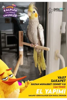 Vantuzlu Kuş Cam Tüneği Oyun Parkuru