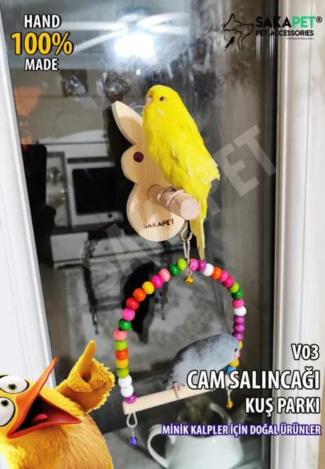 Paraket Muhabbet Kuşu Vantuzlu Cam Salıncağı