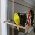 3_org_zoom