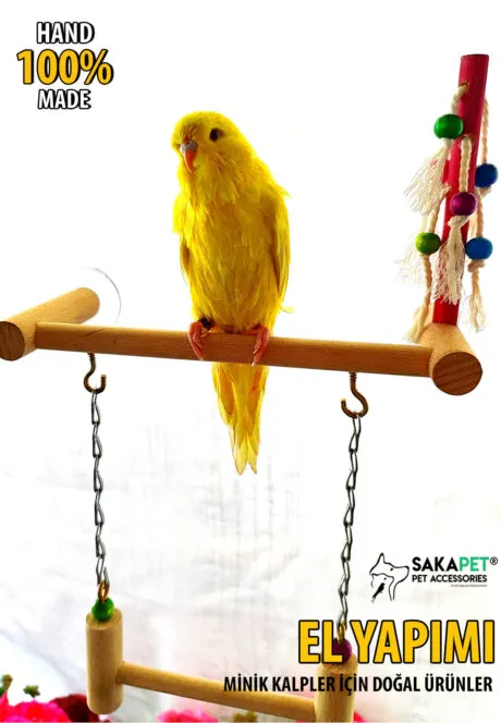 Paraket Ahşap Vantuzlu Cam Oyun Alanı El Yapımı