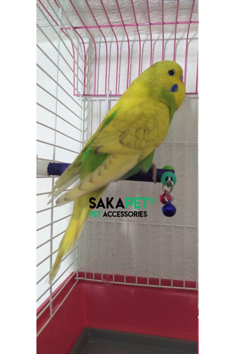 skt1__trd_2
