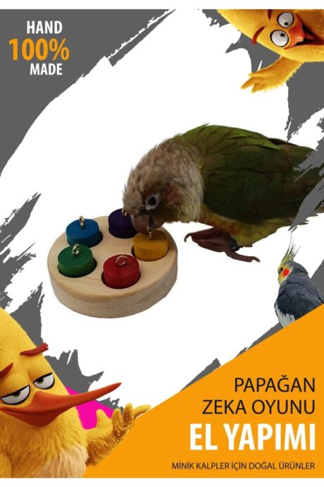 Papağan Eğitici interaktif Oyuncak