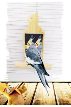 Doğal Ahşap Tünekli Papağan Aynası