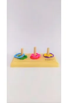 Kuş Geometrik Zeka Oyunu