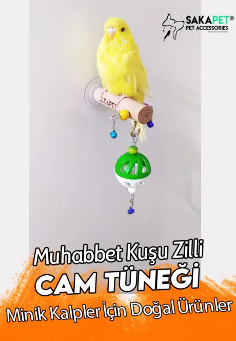 Vantuzlu Cam Tüneği Tekli