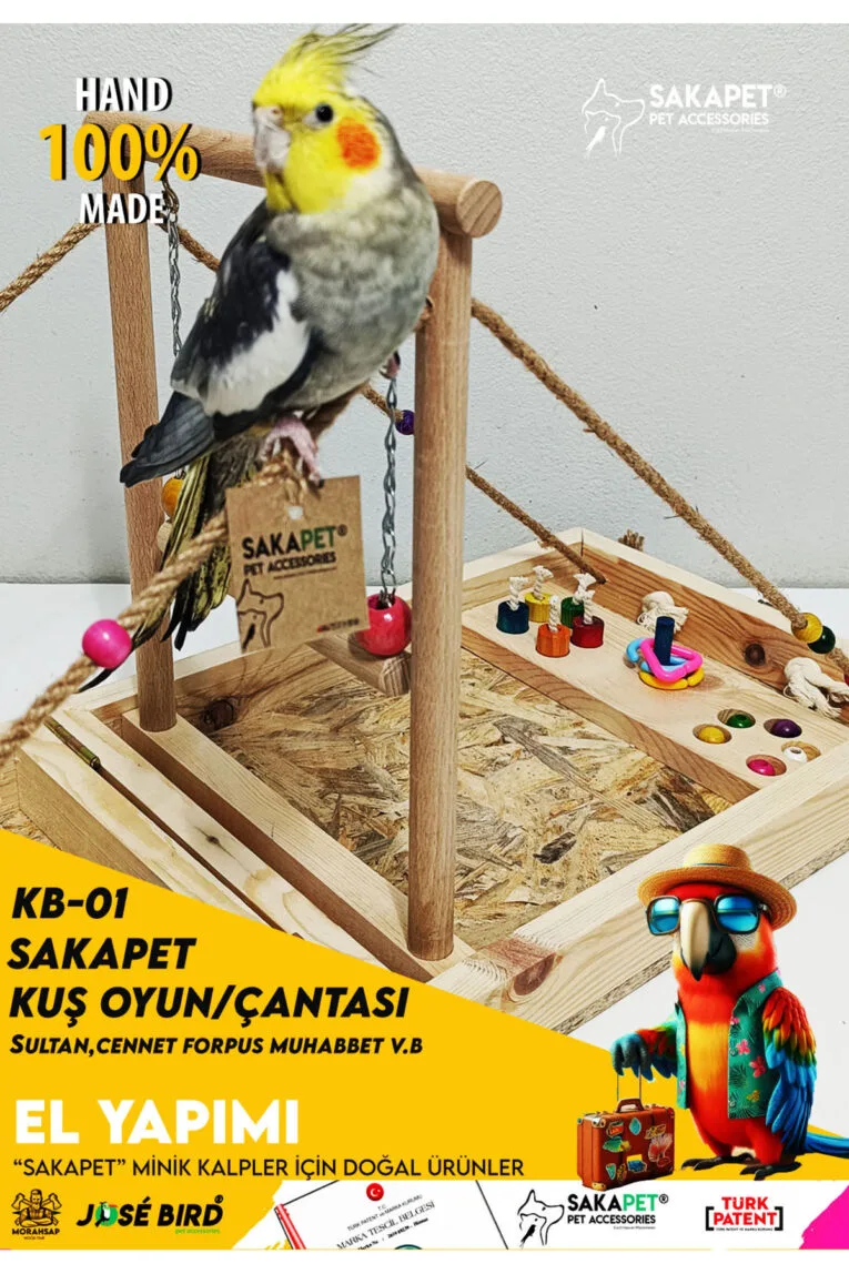1_org_zoom-18.jpg