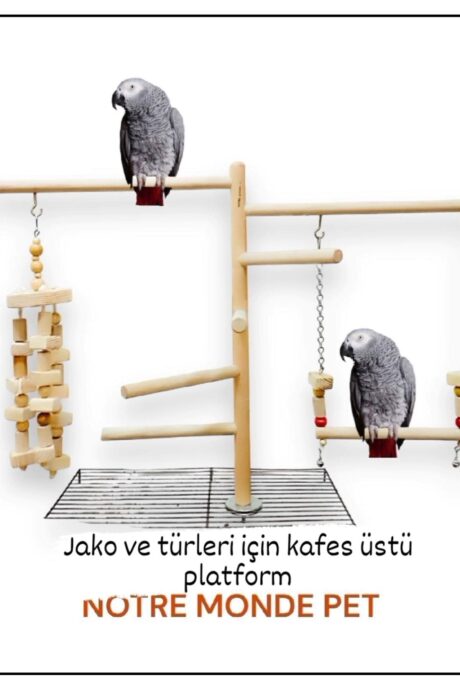 Kafes Üstü Ahşap Kuş Oyun Platformu | Kafes Üstü Kuş Tüneği | Sakapet
