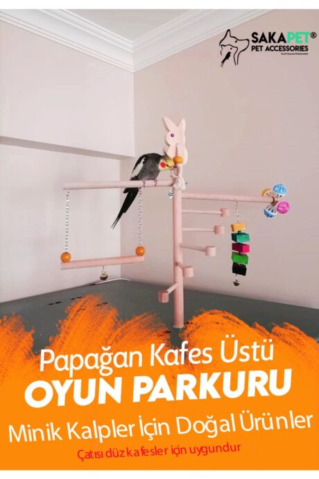 Kafes Üstü Ahşap Kuş Oyun Platformu | Kafes Üstü Kuş Tüneği | Sakapet